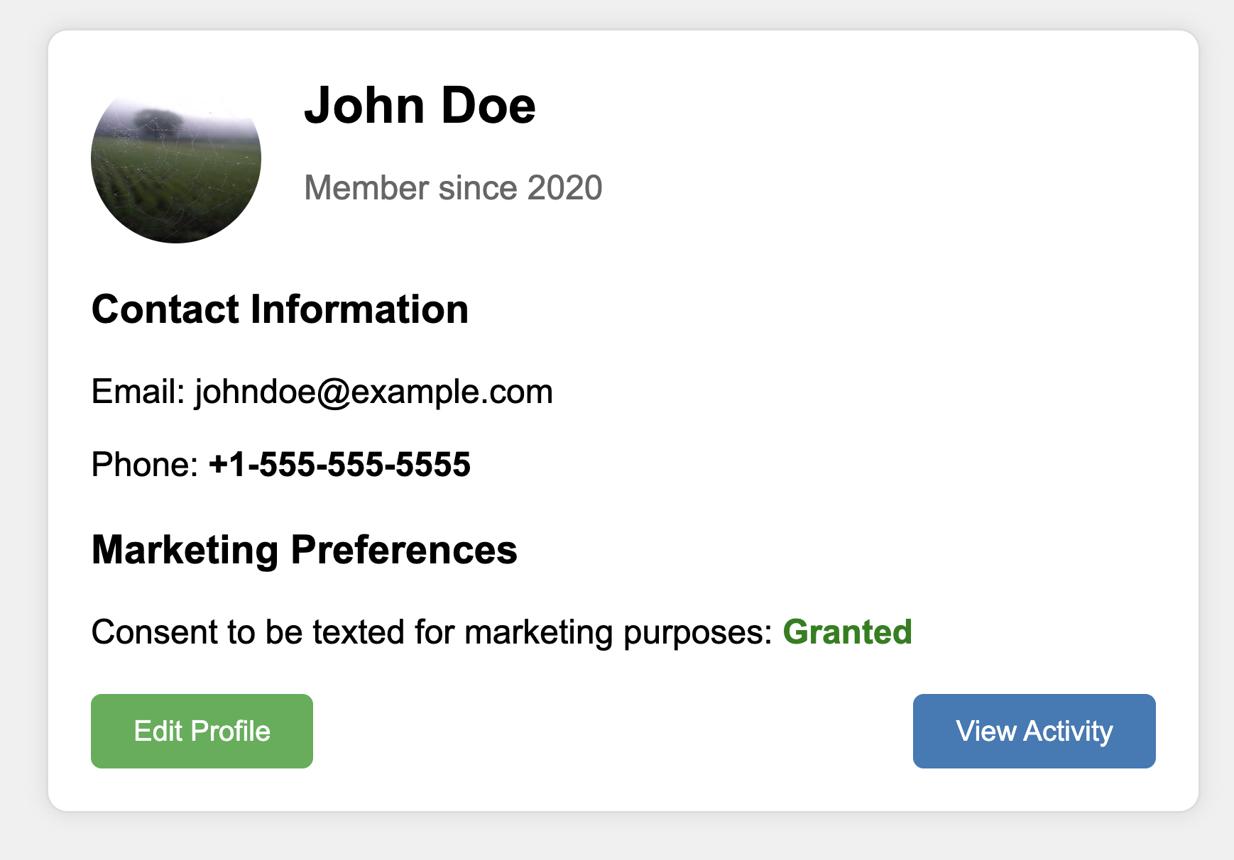 A generated profile page where consent for marketing shows as granted but there's no way to actually change it