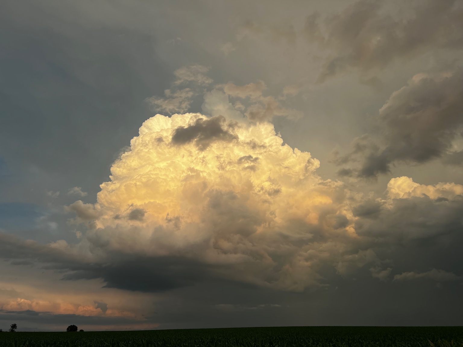 A large cloud above a corn field