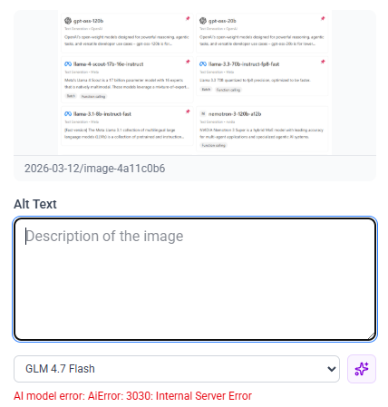 Shows an internal error on the alt text field