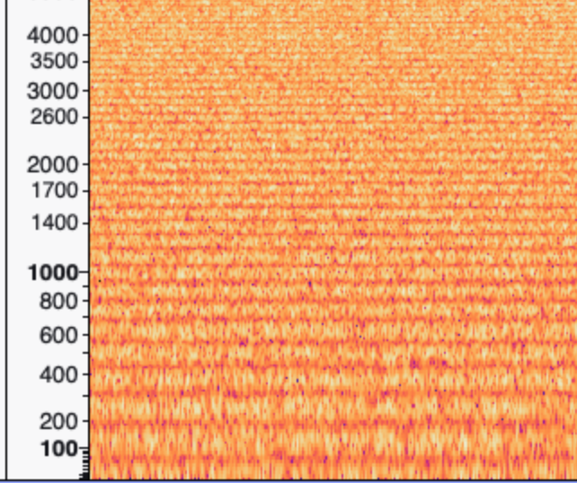 A spectrogram with interference bands